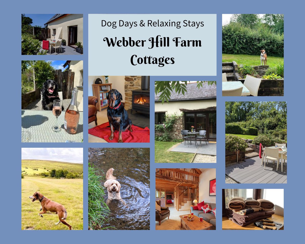 #Moonseeker #holidaycottage nr #Dartmoor #Devon sleeps up to 4 in 2 ensuite bedrooms.Woodburner, underfloor heating, very well equipped and beautifully presented. #dogfriendly £25 per pet per stay. Enclosed secure garden #canicross #shortbreaksindevon <a href="/TheGoodDogGuide/">The Good Dog Guide</a>