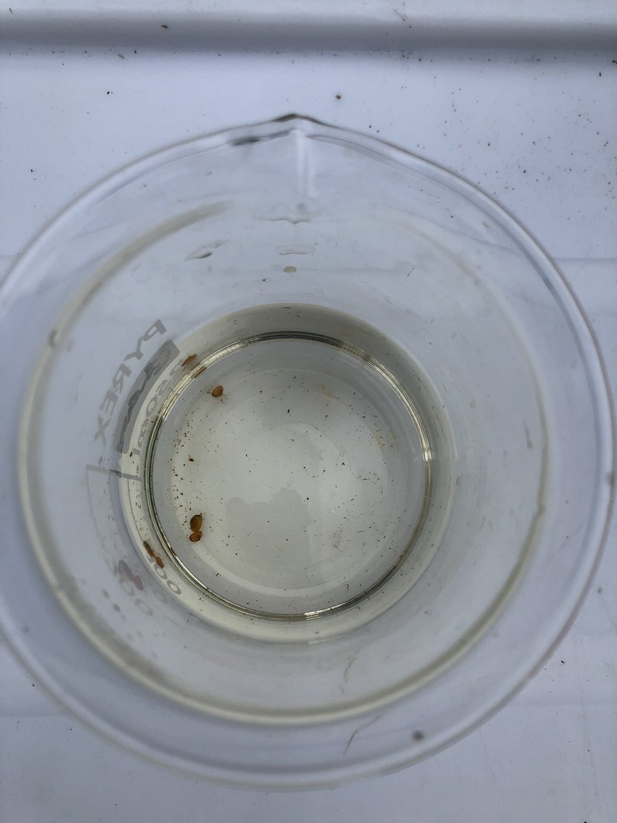 Elvira de Eyto tweet media