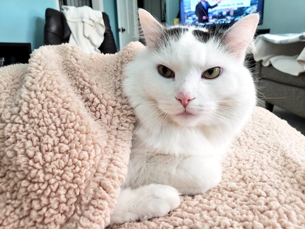 Rare instance of allowing Mom to cover me with a blanket