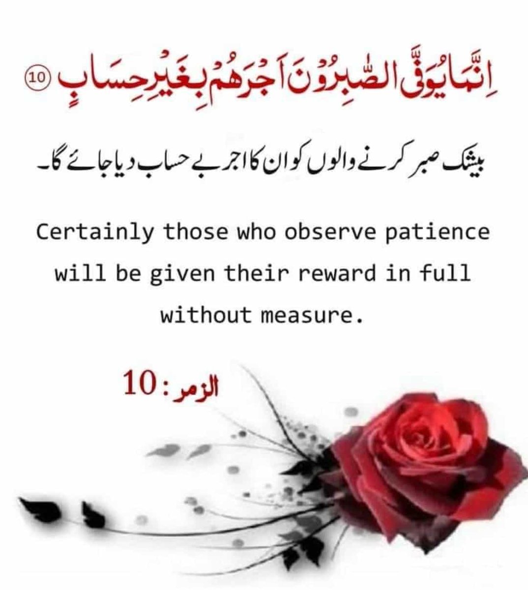 MIshaqDar50's tweet photo. https://t.co/2QJX6Aindg