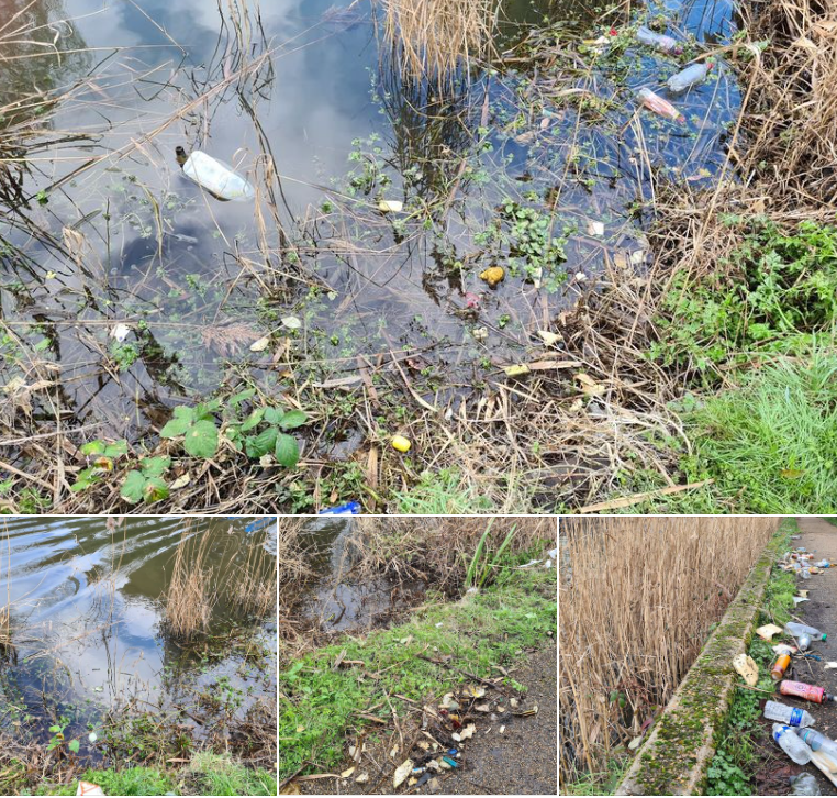 Today's lone volunteer task was to get the tat out of the reed in #Greenford. Bottles and cans are easy compared with getting the polystyrene out.  More to do there but it is starting to look better. Keep watching!

#plasticschallenge