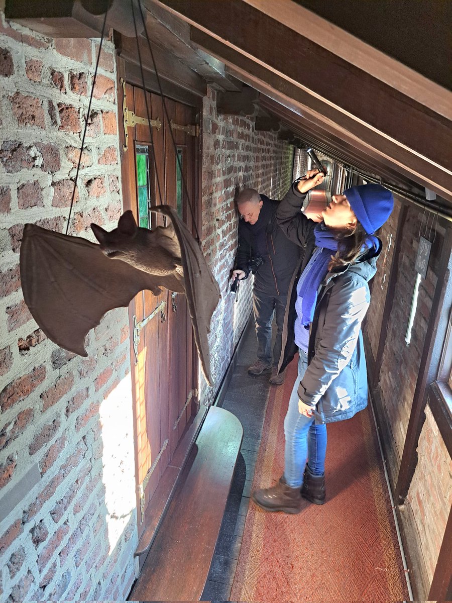 Gerrie Abel tweet media