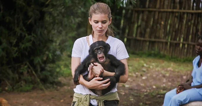 Image from Animal Law (@Animal_Legal)