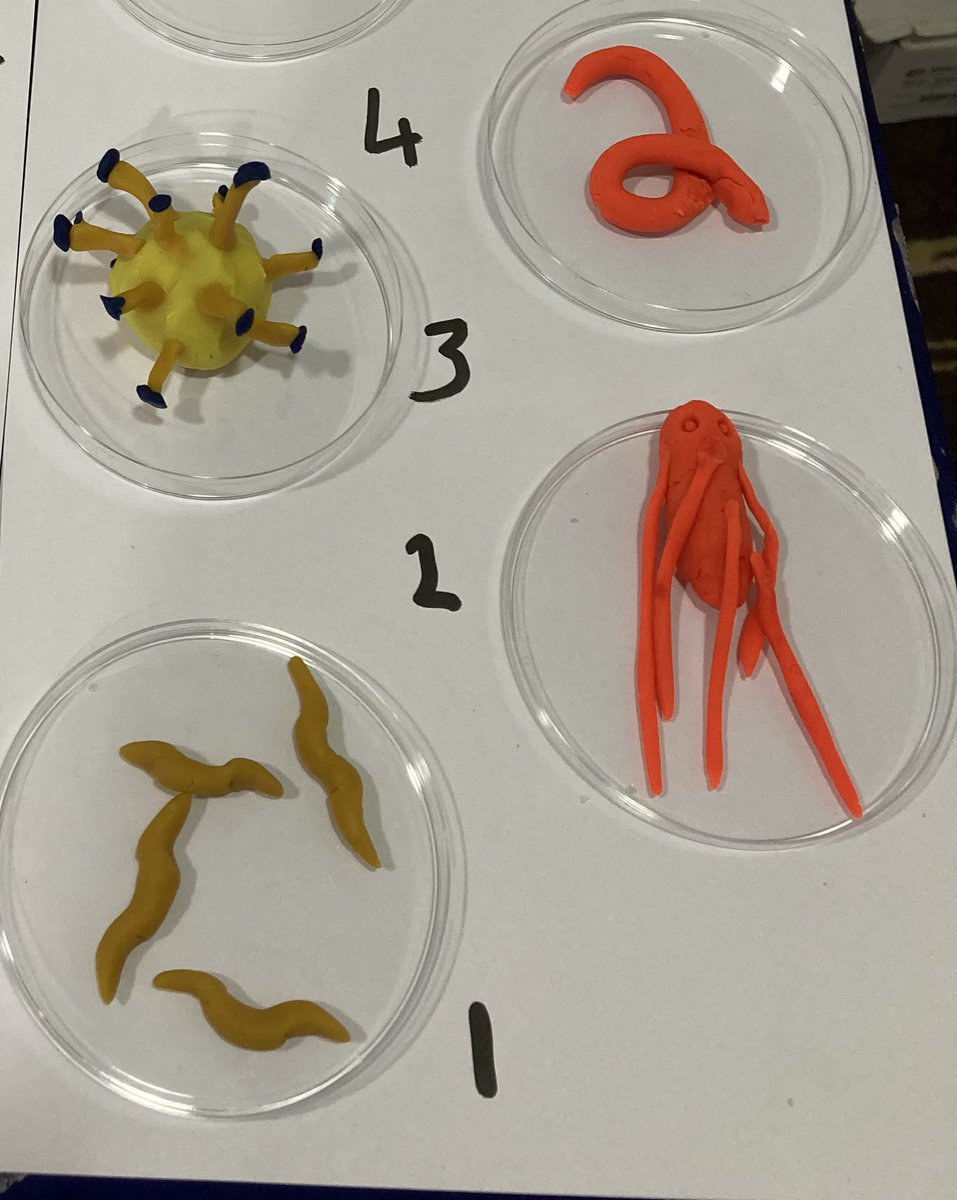 THREAD:
In Manchester for day 3 of e-Bug training in the North West - getting creative by making our own microbes!
<a href="/GillianDamant/">Gillian Damant</a> <a href="/rosiejdixon/">Rosie Dixon</a> <a href="/BillMorts/">Will Morton</a> <a href="/JoanneReynard/">JO Reynard RGN QN</a> <a href="/UKHSA_NorthWest/">UKHSA North West</a> <a href="/Brieze26/">Dr Brieze</a> @LiamC1807