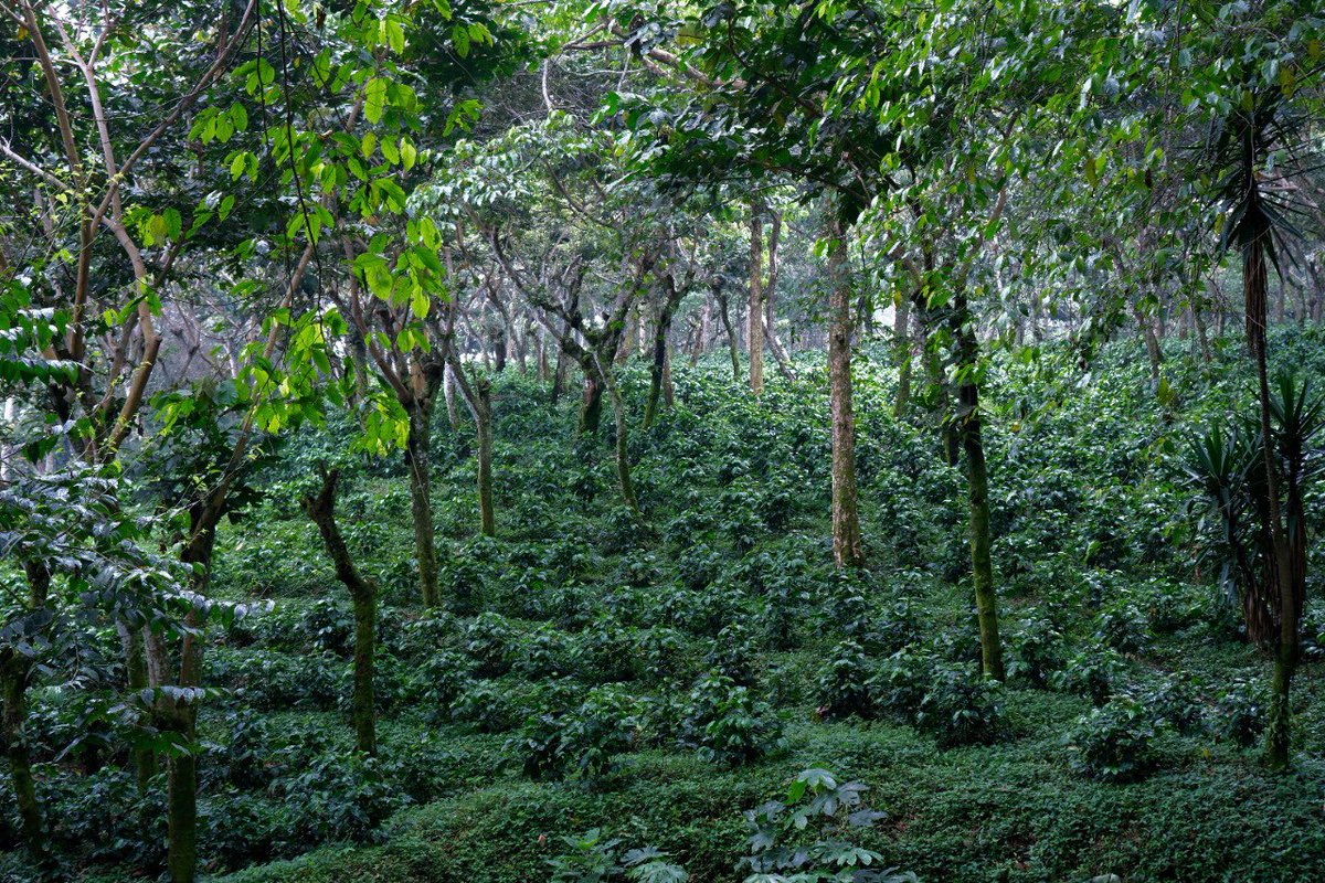 Sam Knowlton tweet media