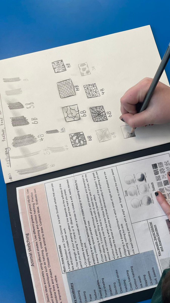 MissForster11's tweet photo. P5 did an amazing job sketching during Art with Miss Thomas this week. They were exploring texture, tone and gradient. 🎨✏️ https://t.co/X3BwyaV6n4