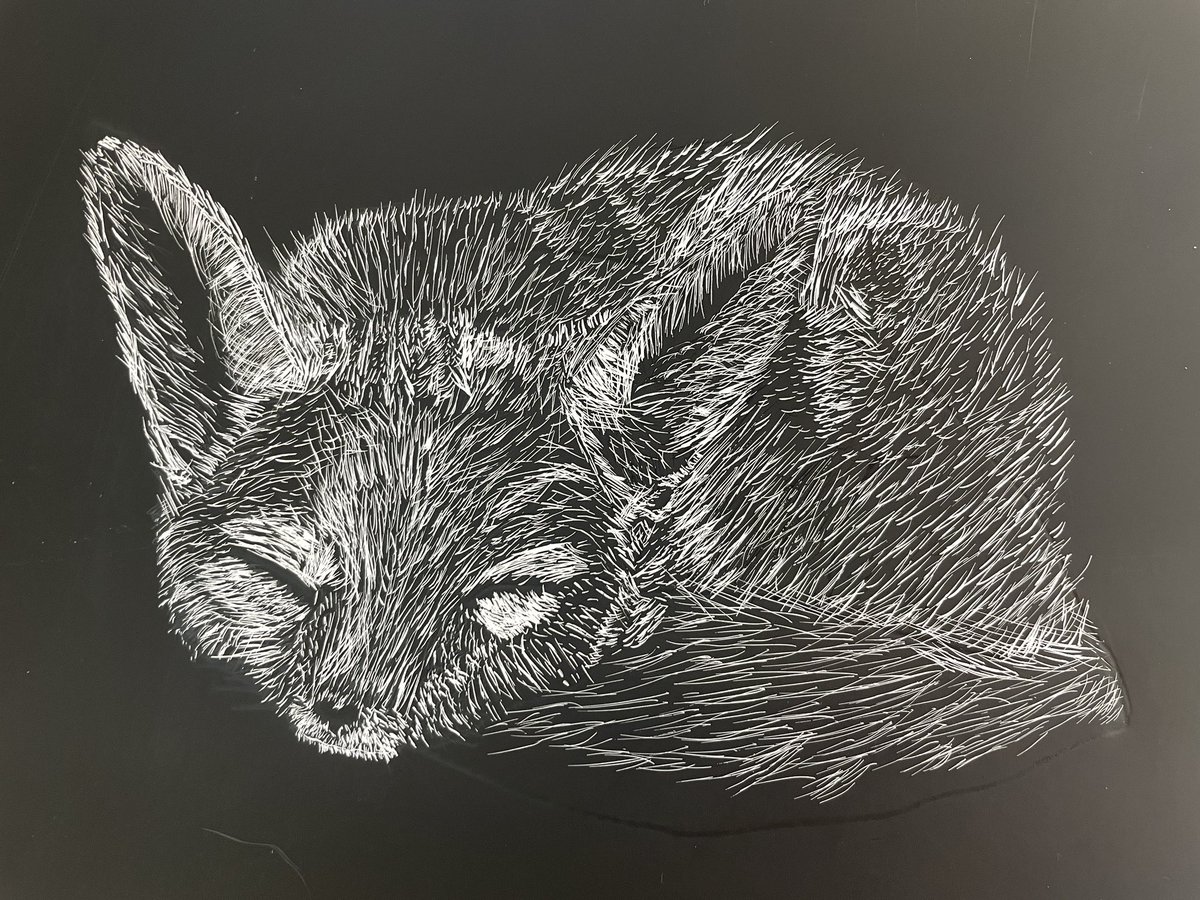 Scratch art animals in the art room this month! <a href="/MonticelloHigh/">Monticello High</a> @bethcosta6 <a href="/ACPSFineArts/">ACPS Arts</a> #scratchart #acps #artsed