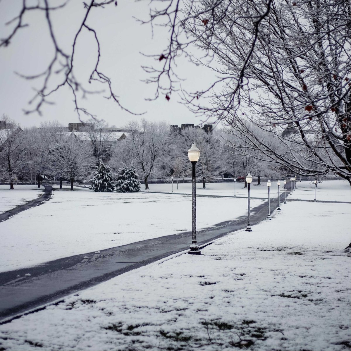 virginia_tech's tweet photo. we just want to be Snowkies again is that too much to ask https://t.co/I0uTSD4soE