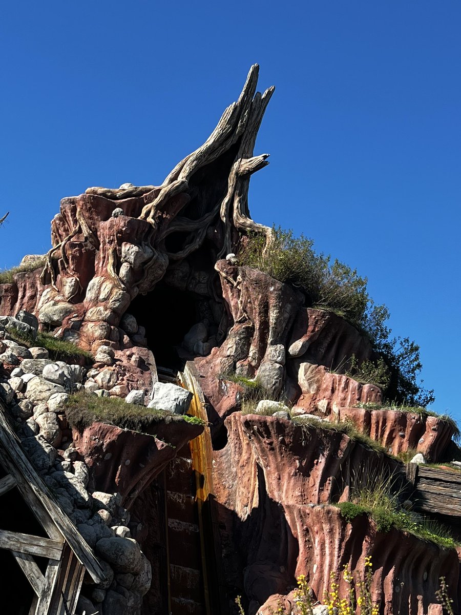 Park_Journey's tweet photo. You know what goes with Rabbit Stew? 
#SplashMountain #SamwiseTheBrave https://t.co/zdEeHrqtDV