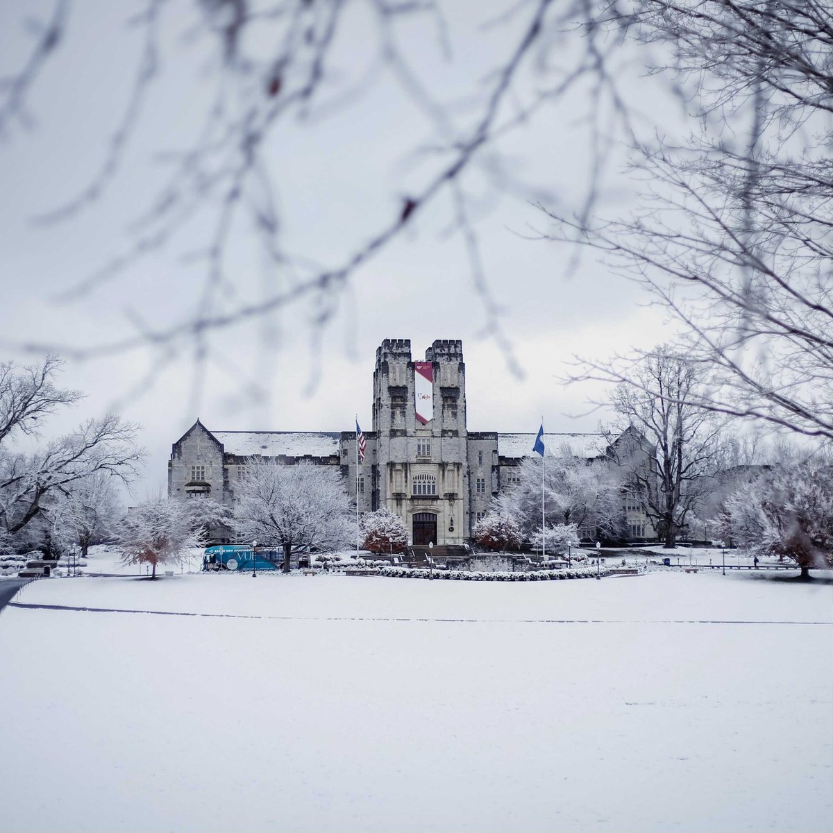 virginia_tech's tweet photo. we just want to be Snowkies again is that too much to ask https://t.co/I0uTSD4soE
