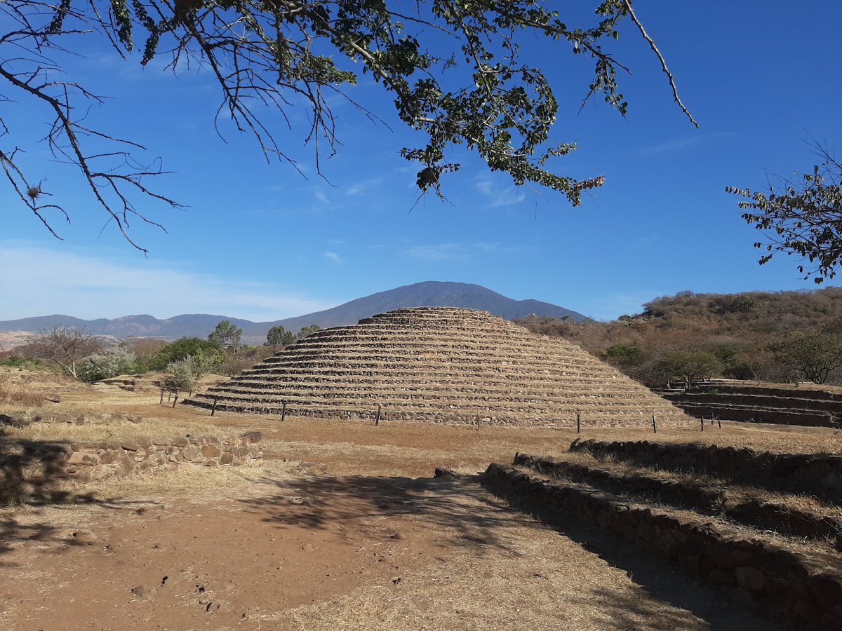 ruizlalo's tweet photo. We are doing a research trying to identify the species of #bamboo used in #Guachimontones to build their houses used in the #bahareque walls #Jalisco @cucba_udg @udg_oficial @el_colmich https://t.co/HXwy0ER3vi