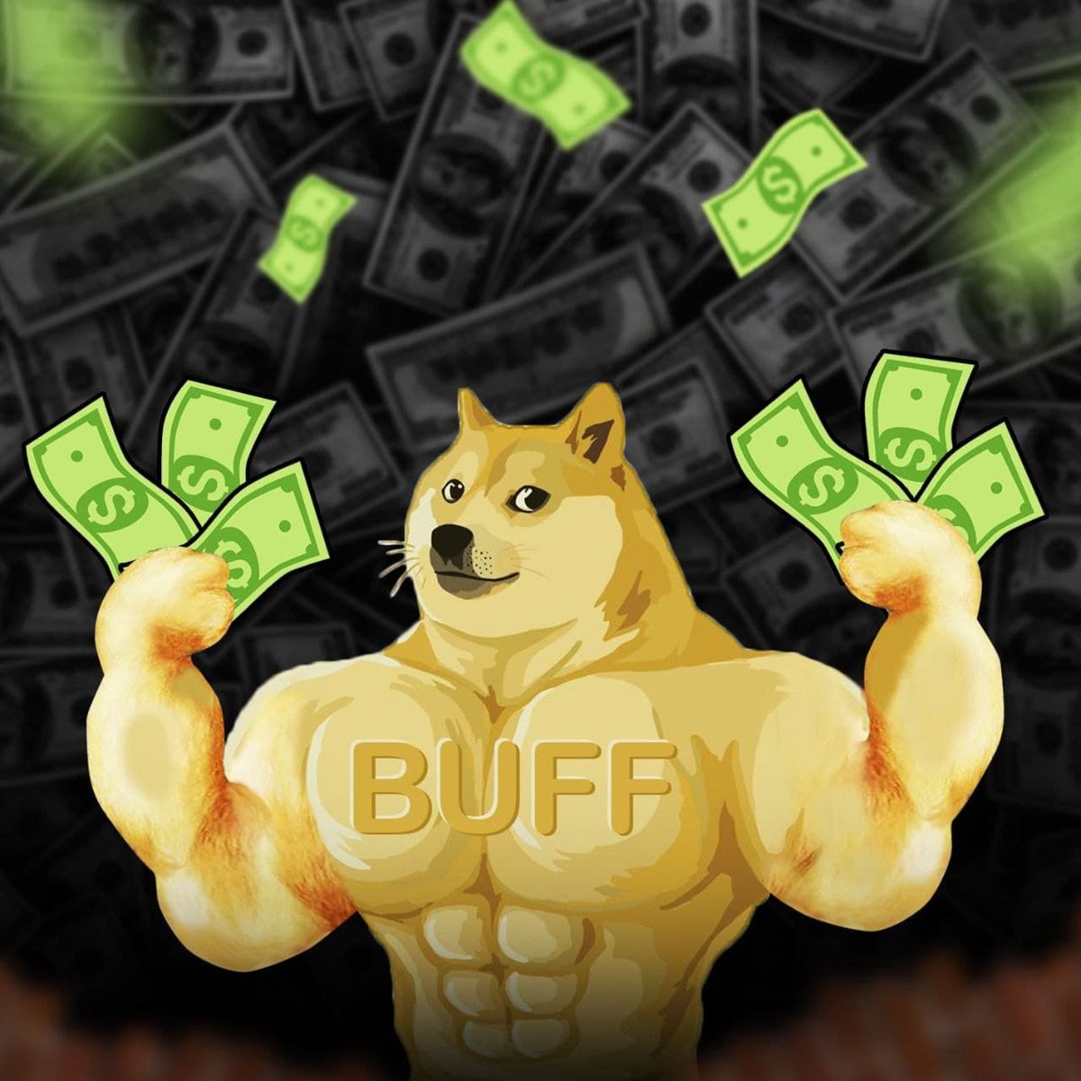 buffdogecoin's tweet photo. @FoxCryptoBSC #BuffDogeCoin 💪🐶 https://t.co/bFgy9oLIdw
