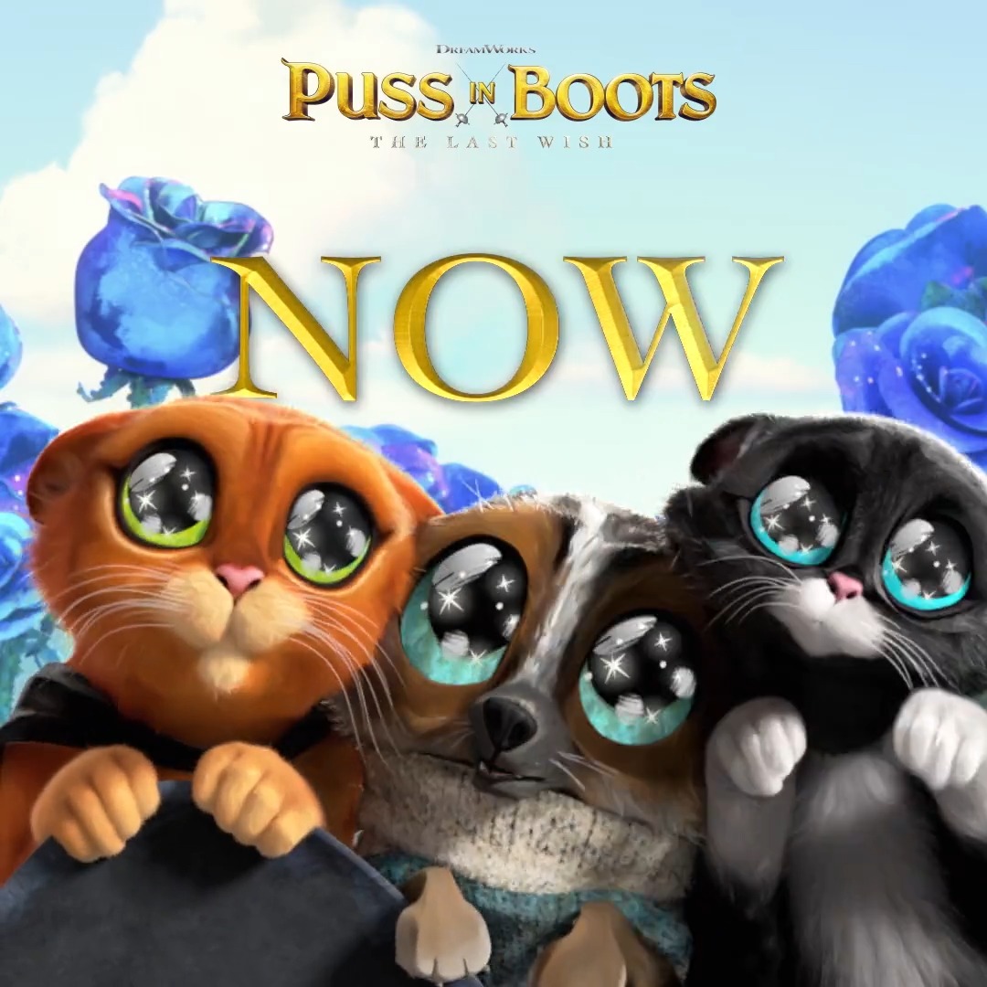 DreamWorks Animation (@Dreamworks) / Twitter DreamWorks Animation (@Dreamworks) / Twitter
