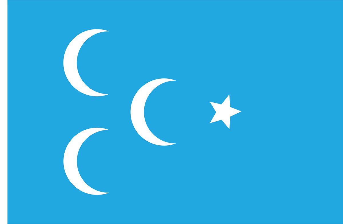 koklerkitabevi's tweet image. Mütefekkir Salih Mirzabeyoğlu'nun eserlerini kitabevimizden temin eden okuyucularımıza Başyücelik Bayrağı'nı hediye ediyoruz. #salihmirzabeyoğlu #ibda #bayrak #kitap