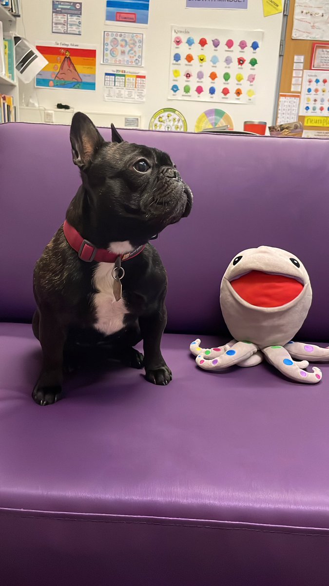 ASW Counselor Corner tweet media