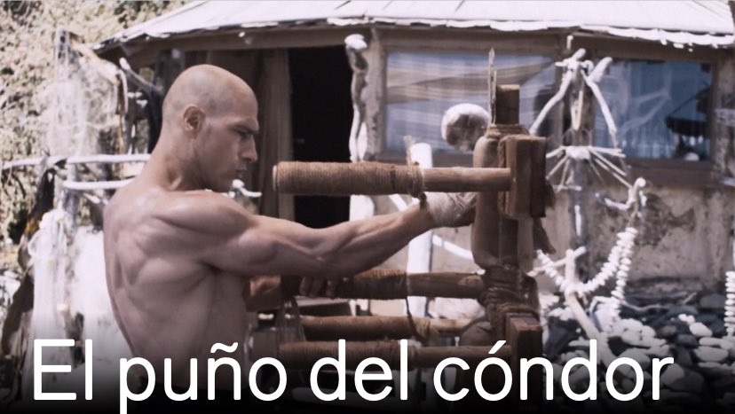 EmbChile Países Bajos tweet media