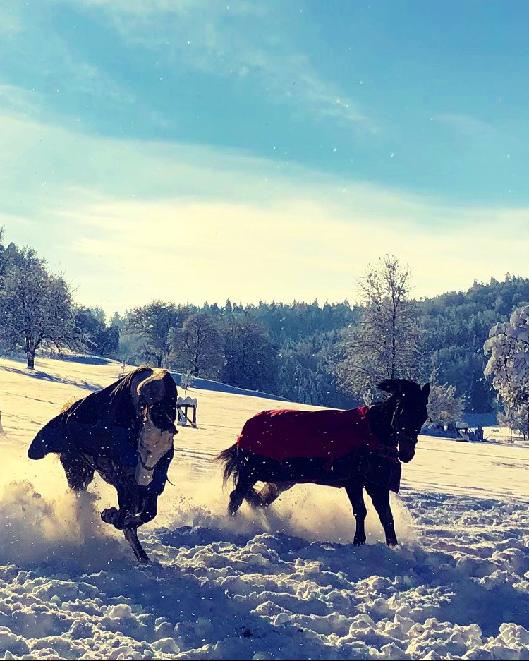 Evgenias Foto (@evgeniakitsiko1) on Twitter photo 