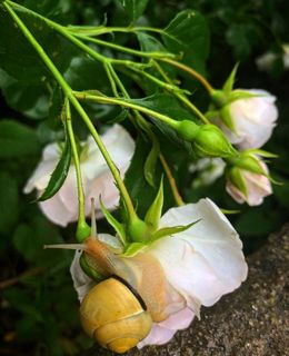 Evgenias Foto (@evgeniakitsiko1) on Twitter photo 