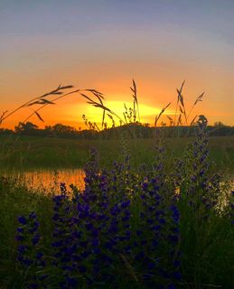 Evgenias Foto (@evgeniakitsiko1) on Twitter photo 