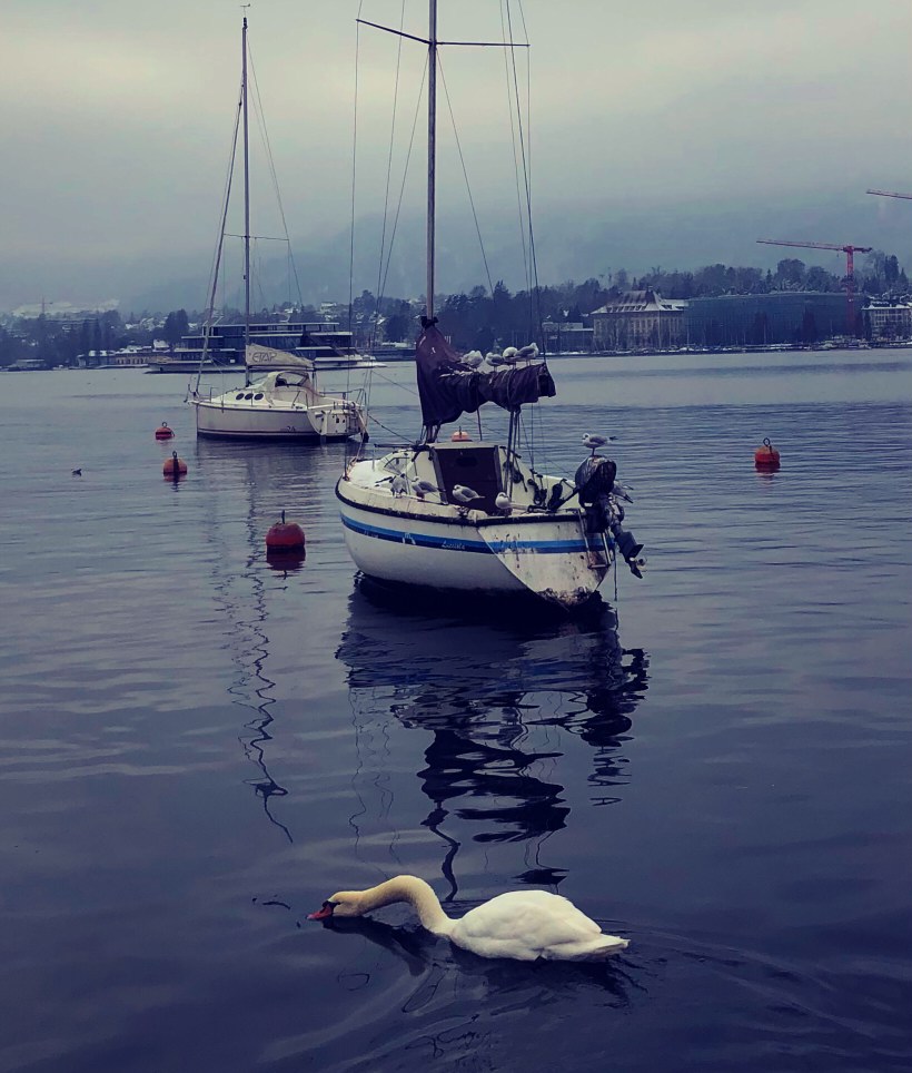 Evgenias Foto (@evgeniakitsiko1) on Twitter photo 