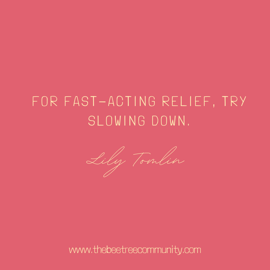 TheBeeTreeComm's tweet image. 