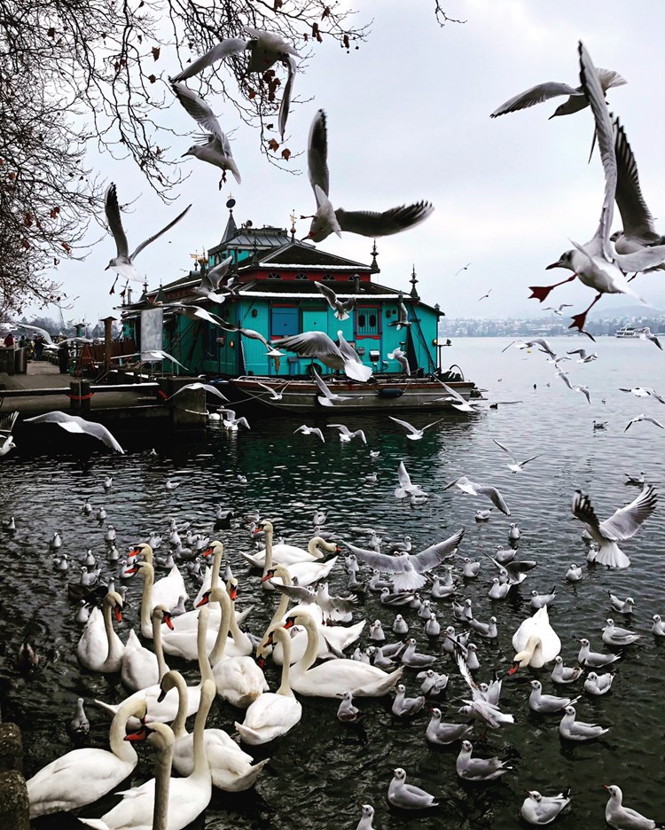 Evgenias Foto (@evgeniakitsiko1) on Twitter photo 