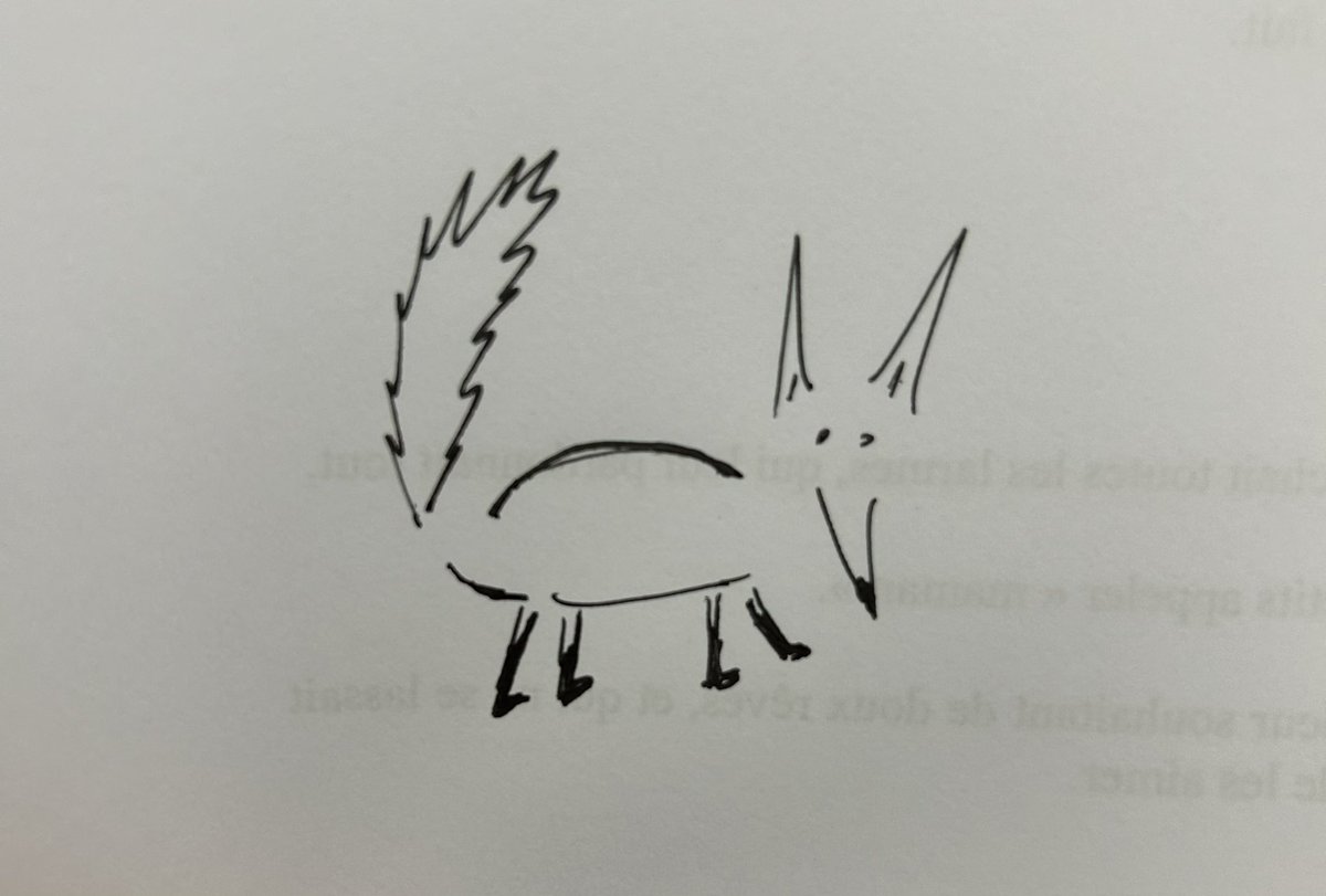 Marion Dubreuil tweet media