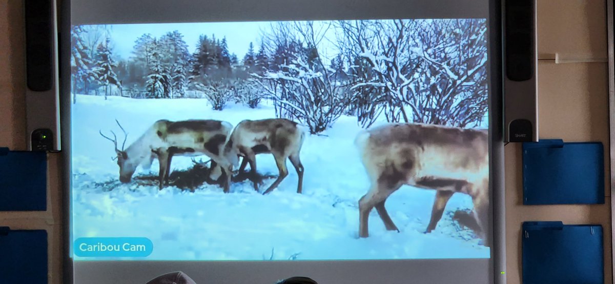 Mrs. Bungay tweet media