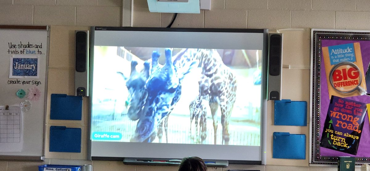 Mrs. Bungay tweet media