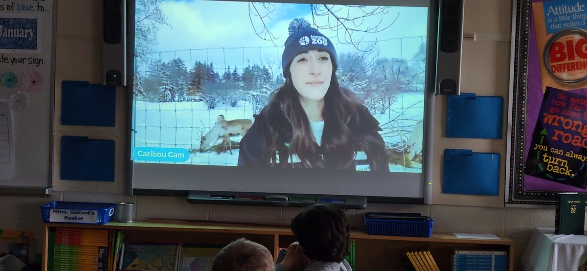 Mrs. Bungay tweet media