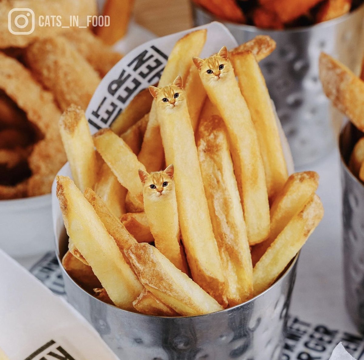 Happy Fry Day! 
#Friday #CatsOfTwitter