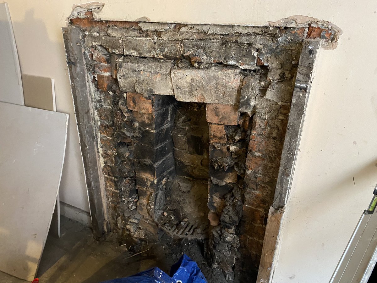 CJ Debarra 🏳️‍🌈🏳️‍⚧️🇵🇸🍣 tweet media