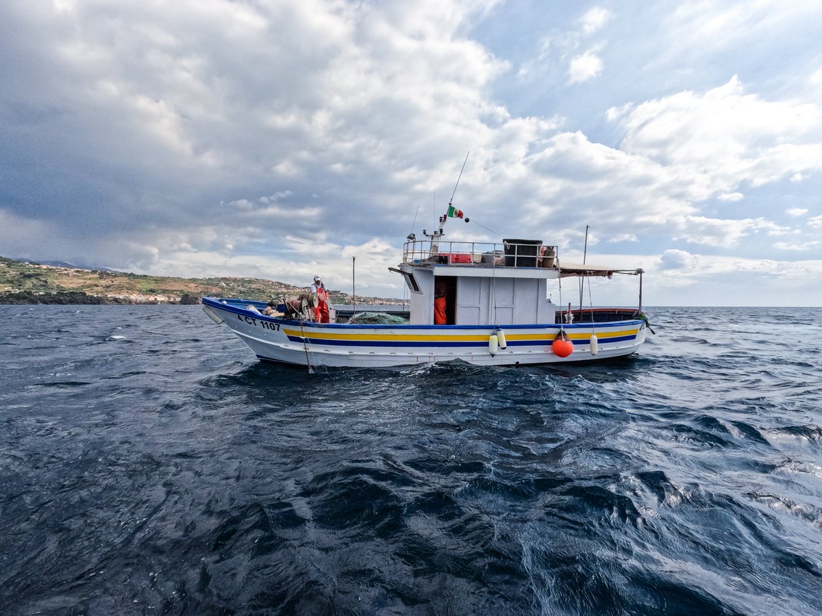 UN_FAO_GFCM's tweet photo. @ACCOBAMS @FAOfish Mitigation #solutions aim to reduce #dolphin #depredation in the #Mediterranean 🐬

@UN_FAO_GFCM &amp; @ACCOBAMS, in collaboration with @SPARACinfos &amp; @LIFEplatformEU, ran a four-year project in 5⃣ countries to better #understand depredation.

Read the story: https://t.co/xZVdPce6pK https://t.co/r90DFmkzl3