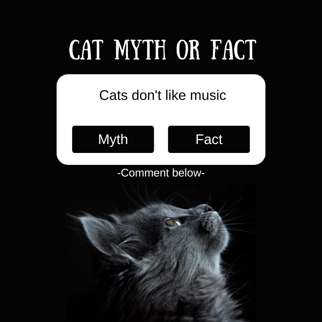 ClubbinBeatz's tweet photo. What do you think ? 🙀
Write your comments below ⬇ .
@clubbinbeatz
#mythoughts ##myths #mything #mythic #cats #catslove #catsuit #catsrule #djs #housemusiclovers #houseoftones #electronicmusic #edmmusic #edmlovers #deephouse #edmlove #dancerslife #dancedancedance #dancelove https://t.co/wuhkusVwXm