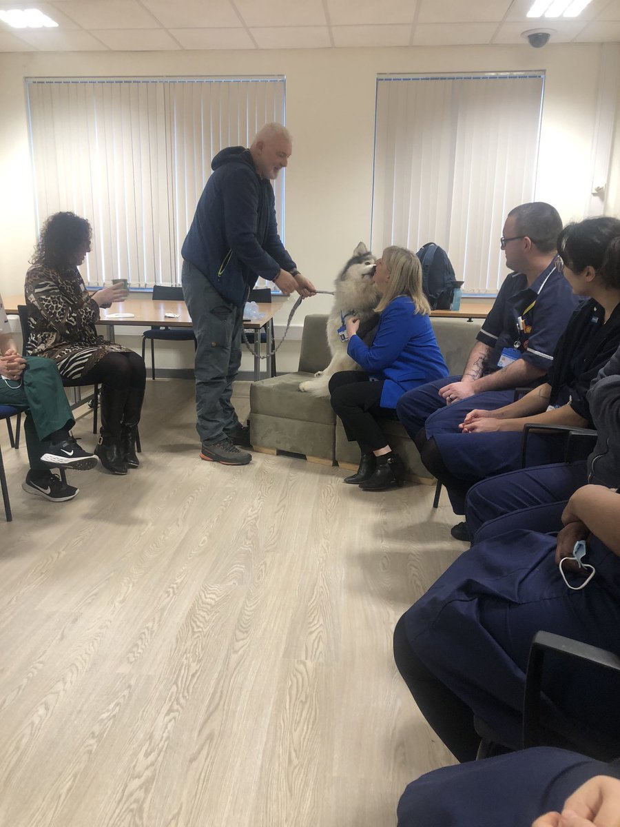 Alison Ward tweet media