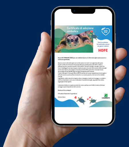 Per #sanvalentino regala Hope la #tartarugamarina ❤️

❤️ Riceverai il certificato di adozione da consegnare a la/il tua/o partner 

Scopri come su tartalove.it