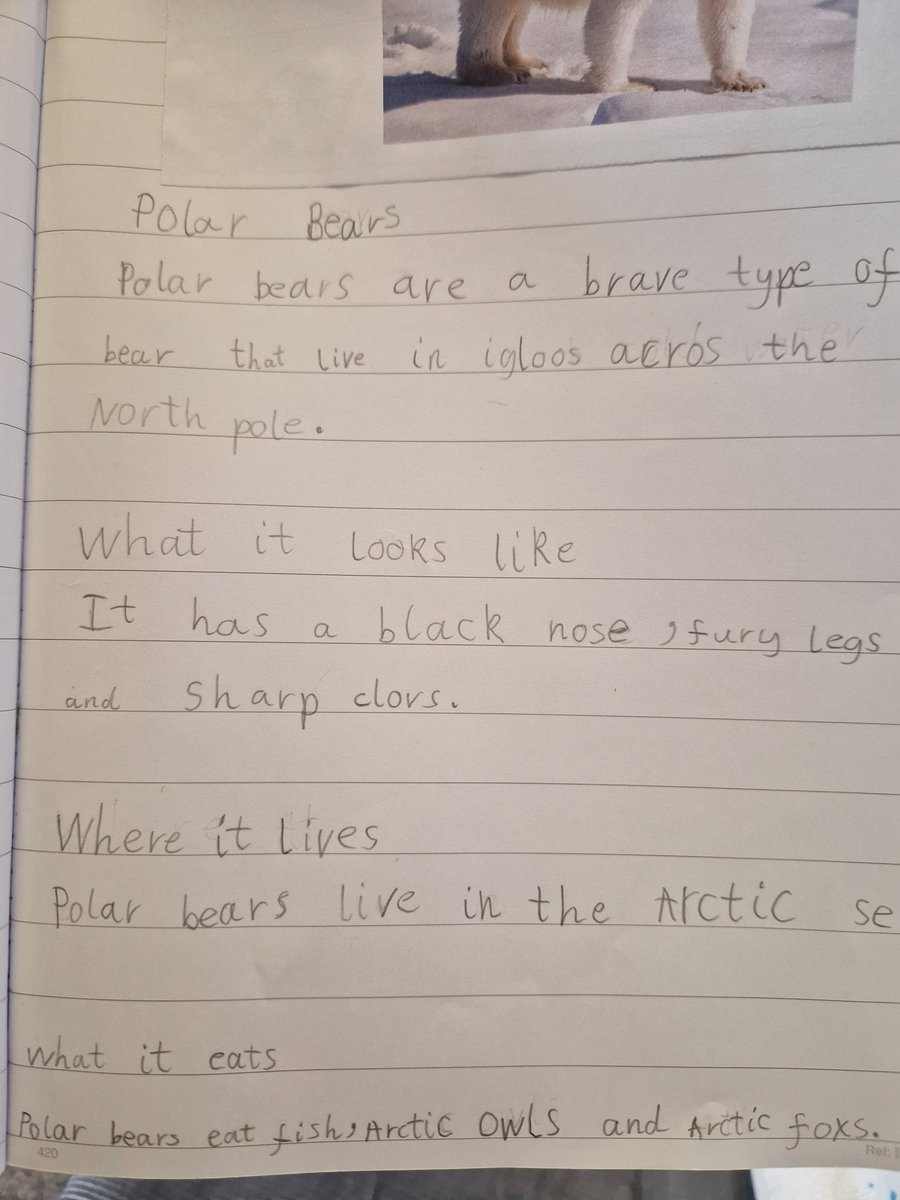 Winton Primary School (@wintonprimaryn1) on Twitter photo Some incredible non-fiction writing in Year 1 today!- Great combination of <a href="/TalkforWriting/">Talk for Writing</a> and our Arctic Geography unit to create wonderful Polar Bear information texts. Some incredible non-fiction writing in Year 1 today!- Great combination of <a href="/TalkforWriting/">Talk for Writing</a> and our Arctic Geography unit to create wonderful Polar Bear information texts.