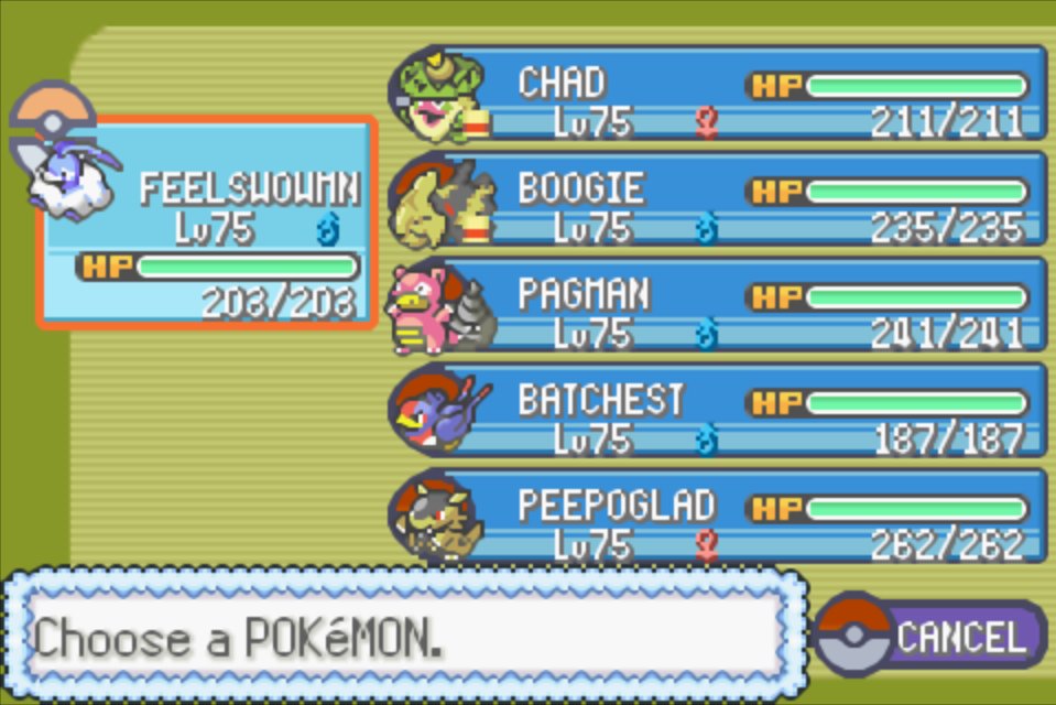 My team : r/PokemonEmerald