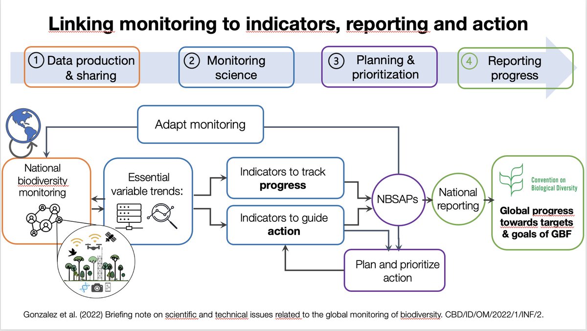 bio_diverse's tweet photo. Speaking this morning at @CECweb "Bringing to life a Global Biodiversity Observing System" 

Describing @GEOBON_org mission to support the action to achieve the targets and goals of the @UNBiodiversity #biodiversity framework https://t.co/wSVt1znxCu