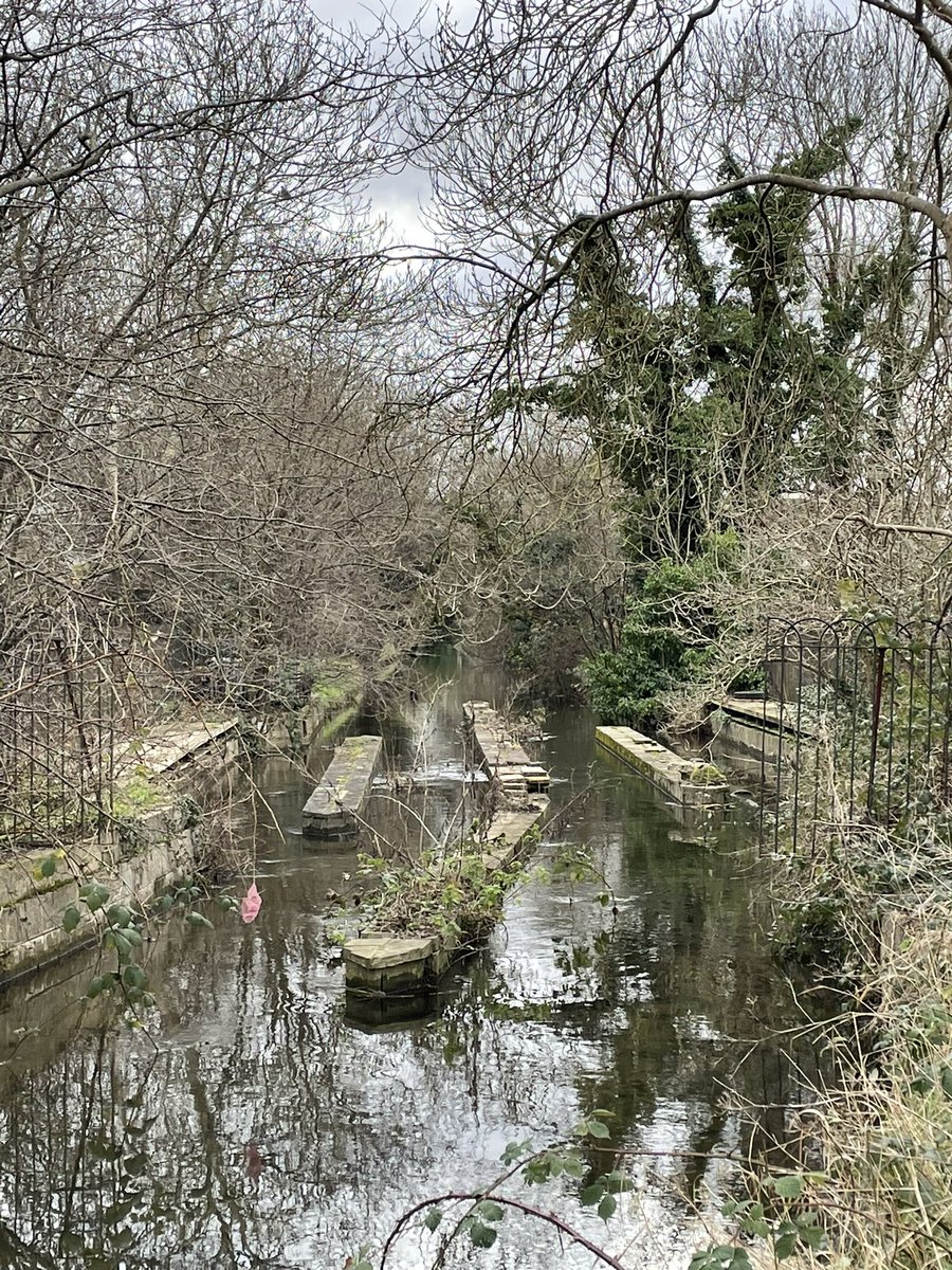 Here’s a #HamptonHill view that not many people have seen. This is where the Longford River goes over a deep railway cutting via a little aqueduct. This is the first time I have seen this spot as the new Longford river manager took the time to walk the bank with a few of us.