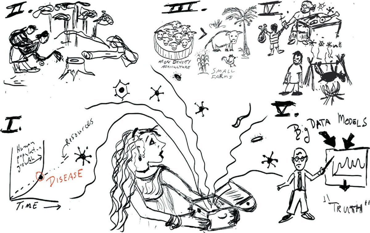 Our most recent contribution dealing with issues of land use change and disease emergence. Here, we examine five common "myths" that are commonly taken by granted in the literature. At minimum they require a closer examination. link.springer.com/chapter/10.100…