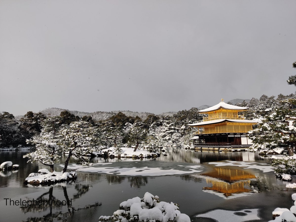 The iconic view of the Golden Pavilion (Kinkakuji)!! 
#kyoto #Japan #kinkakuji