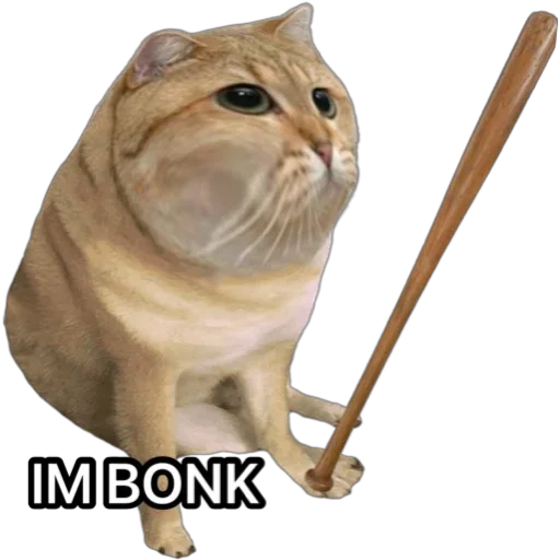 uncle_cabo's tweet photo. @AshleyDCan NO 🤬, you need to believe my beliefs ashley !! #bonk #catbonk https://t.co/zJmQcxkNNT