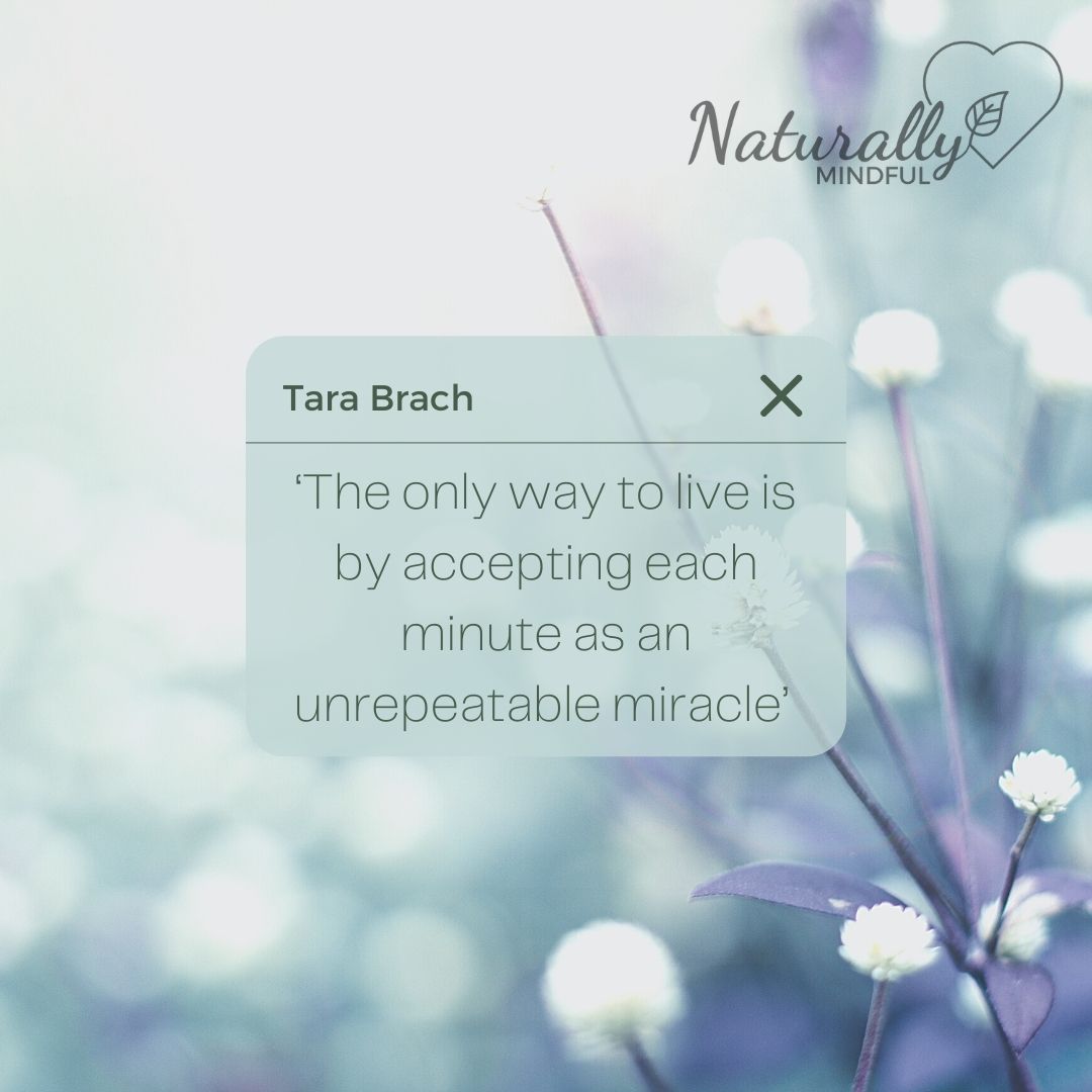 'The only way to live is by accepting each minute as an unrepeatable miracle.'. Tara Brach

#mindfulness #northsomerset #mindfulquote