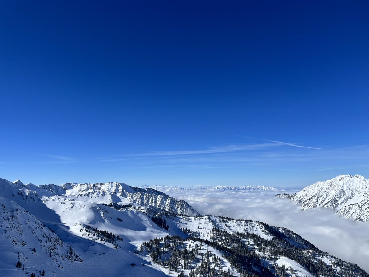 Julia Mitchell, PhD tweet media