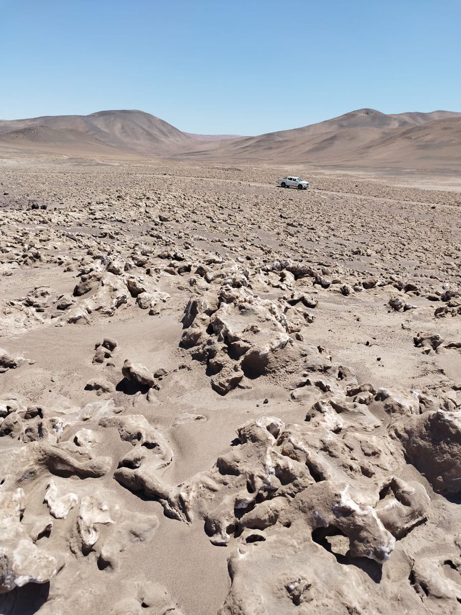blueskylithium's tweet photo. New #Lithium opportunities everywhere! On location #Chile brine flats. Sample of resources we will be testing in our new R&D refinery.
#electricity #FutureOfWork #stockmarketcrash #mining #GreenEnergy #carbon #Iran #Peru #invest $BLSX #teslaPriceDrop https://t.co/iKNXCEFD17