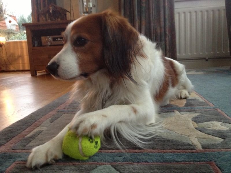 WBreene's tweet image. I'm on the ball..