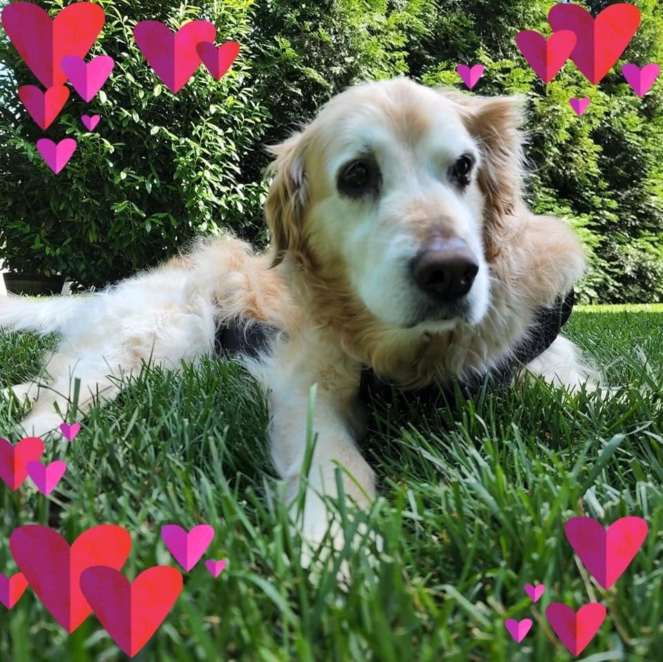 Margie Sherman tweet media