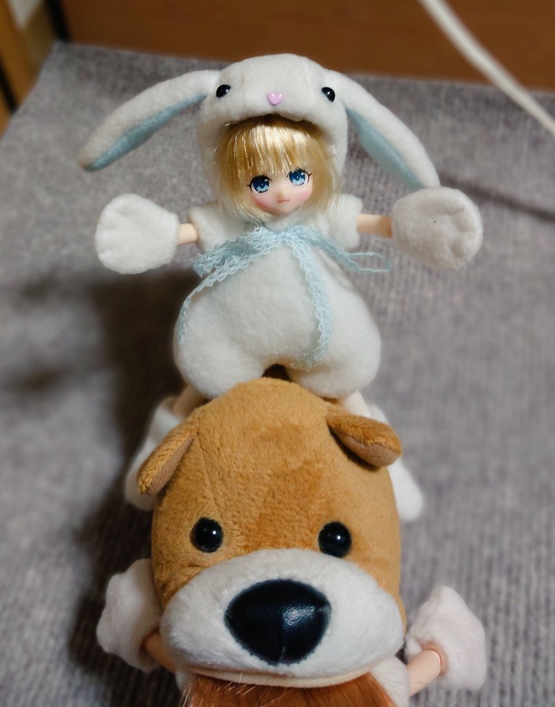 you1_doll's tweet photo. 素敵な仲間が増えました
(実は名前考えてなかった😅) https://t.co/RNTrTXEbBC