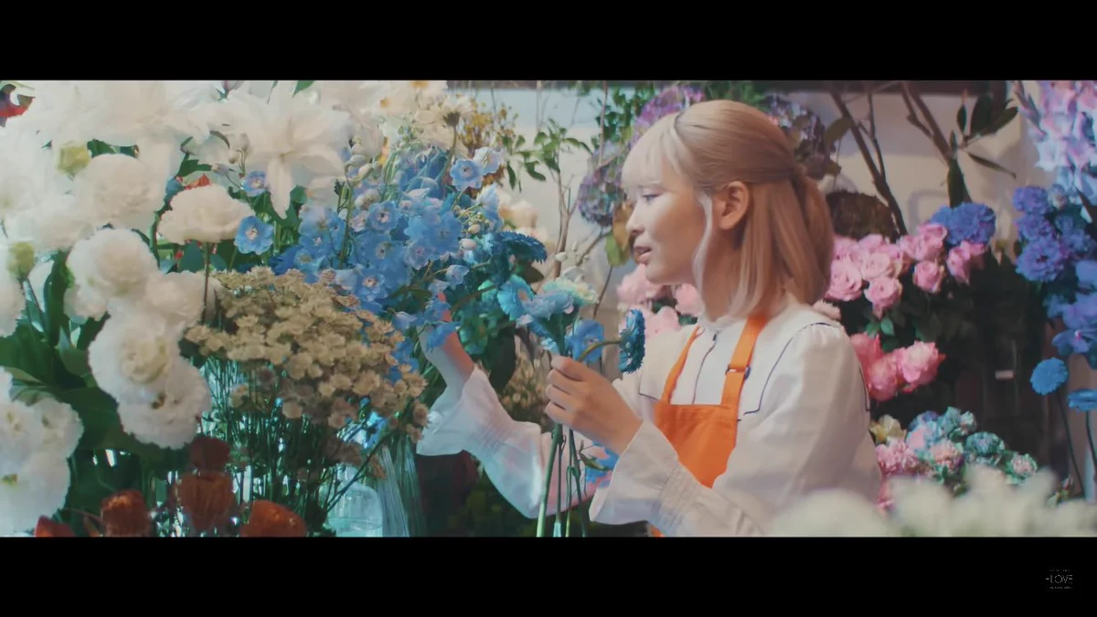 大場 花菜 on X: 